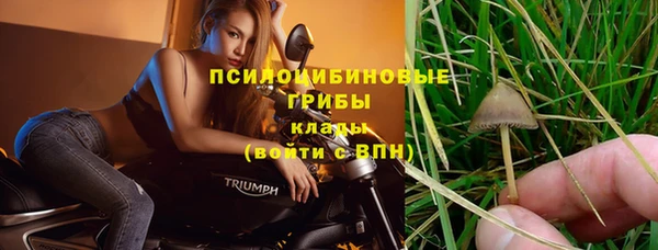 марихуана Абаза
